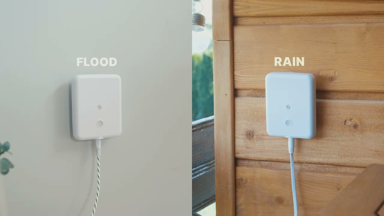 Shelly Flood Gen4
