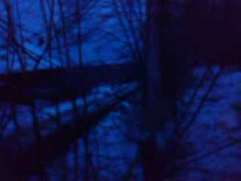 35 Cieszyńska Barbórka 8 oes Zamarski  civic