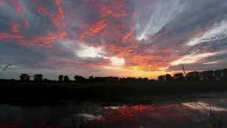 Saw A Light - RAD KICK