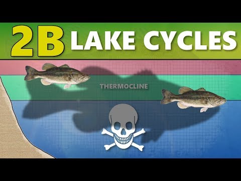 INTERMEDIATE GUIDE TO BASS FISHING: 2B - Lake Cycles (Thermocline/Turnover)