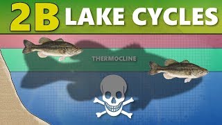 Download the video "INTERMEDIATE GUIDE TO BASS FISHING: 2B - Lake Cycles (Thermocline/Turnover)"