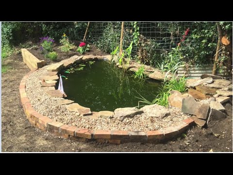 TIMELAPSE Garden Pond Build
