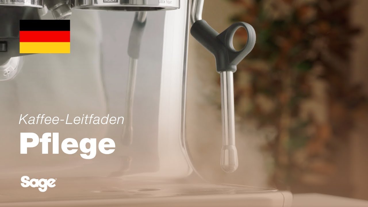 Reinigen des Dampfstabs und blockierter Löcher