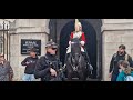 King's guard asks tourist to get the police