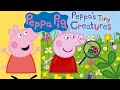 Peppa Pig S Tiny Creatures Read Along With Me