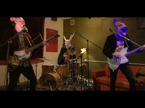 Caltiki - CINDY (live at Red Couch Studio)