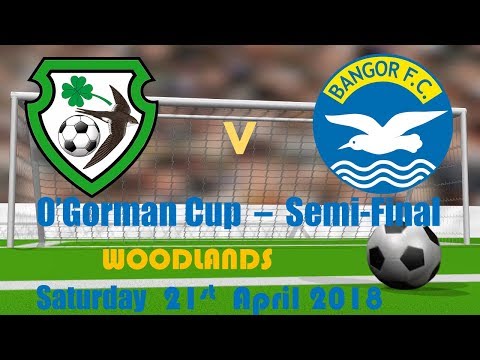 St James' Swifts v Bangor FC