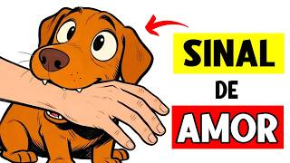 5 Sinais que seu cão vê você como a mãe ou o pai dele!