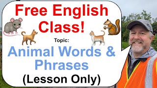 Let's Learn English! Topic: Animal Inspired Words & Phrases! 🐿️🐀🐈