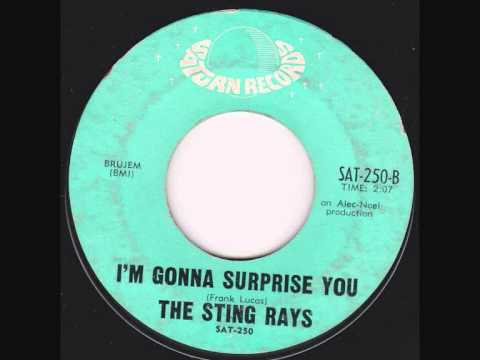 The Sting Rays - I'm Gonna Surprise You