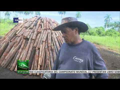 Empresa Agroforestal Guanahacabibes, entre las más eficientes de Cuba