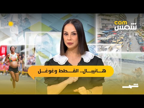 فيديو | شمسcom | هانيبال يفرج عنه، القطط في قبرص، وغوغل تواجه دعوى