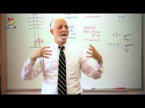 The Mystical Letter Hei - Part 8: The Flaws of Feminism - Rabbi Yaakov Marcus