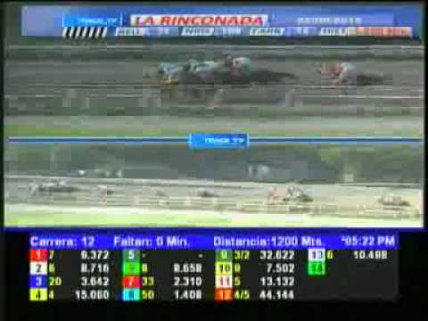 12 CARRERA DOM 02 SEPTIEMBRE LA RINCONADA AUDIOHPISMO