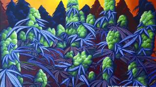 16 MONKEYs~Los Lonely Boys