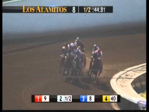 Thirteen Arrows - 2016 Great Lady M Stakes -  Seventh Place Finish