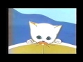 4 Kot Filemon Wielkie Pranie