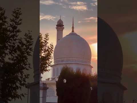 #flowers #fhfirozhasan #fhfirozhasan