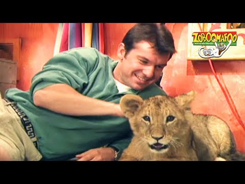 🐘 Zoboomafoo with the Kratt Brothers! HD | Full Episodes Compilation 🐘