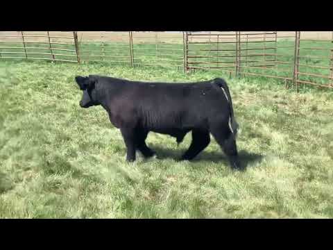 Tag 22 video