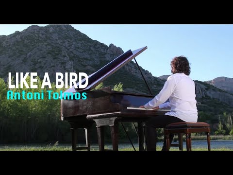 Like a Bird - Antoni Tolmos - Piano