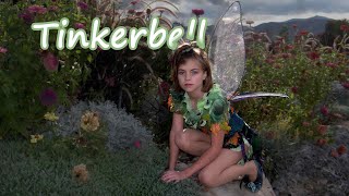 033 Tinkerbell
