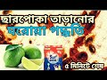ছারপোকা তাড়ানোর ঘরোয়া পদ্ধতি ৫ মিন�