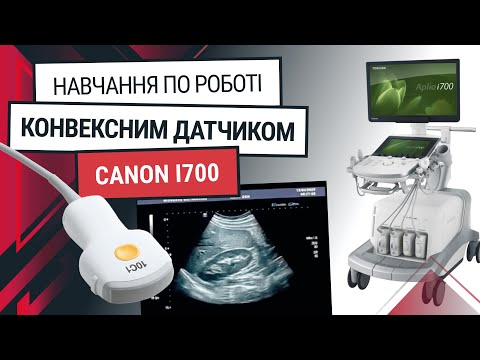 Конвексный датчик для Canon Aplio i700 – обучение и функции - Статьи RH