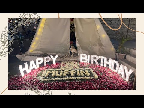 Muffins 1st birthday celebration | Vriti khanna |