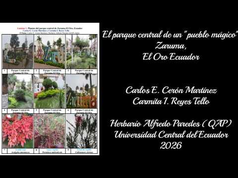🦋 El parque central de un "pueblo mágico" Zaruma, El Oro Ecuador.