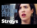 There she is, our brand new hire | STRAYS