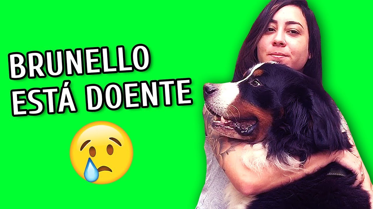 CASTRAÇÃO CANCELADA - DIÁRIO DE CASTRAÇÃO DO BRUNELLO