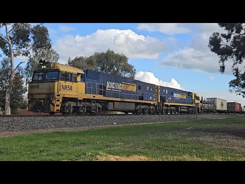 1PM5 PN up "Linfox Express" (NR58, NR104), Perth to Melbourne, 1550, 17/9/25, Horsham VIC 