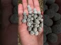 What S The Difference Between Boba And Tapioca Pearls