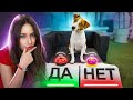 СОБАКА ОТВЕЧАЕТ ДА или НЕТ - Тест для Собаки | Elli Di Pets