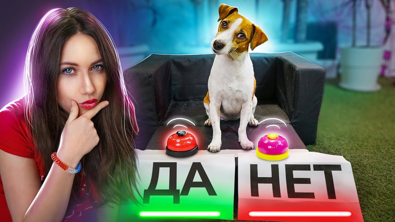 СОБАКА ОТВЕЧАЕТ ДА или НЕТ - Тест для Собаки Elli Di Pets