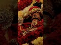 Lord Murugan Whatsapp Status Tamil Murugan God Tamil Devotional