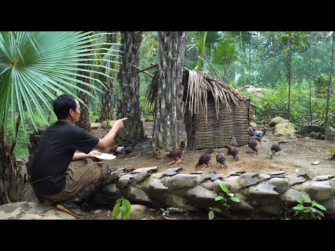 Shocking | Someone is Lurking and Stealing | LIVING OFF THE GRID | Episode 71