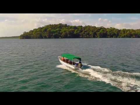 Ven a conocer las hermosas playas de arena blanca  al Parque Nacional Marino del Golfo de Chiriquì