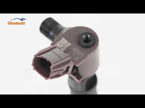 Fuel injector |  295700-0550 | 295700-0160 | 23670-0E010 OE：23670-0E010" | for TOYOTA