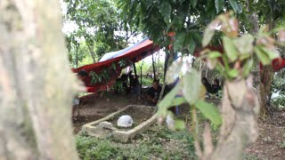 Download lagu Selain Ular Besar, Terdapat 9 Makam Keramat di Gunung Nyungcung Rumpin mp3