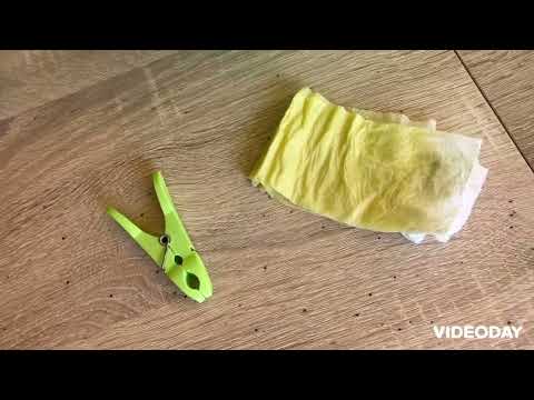 Selbstversorger Thomashof „ Färben mit Schilfblüten“