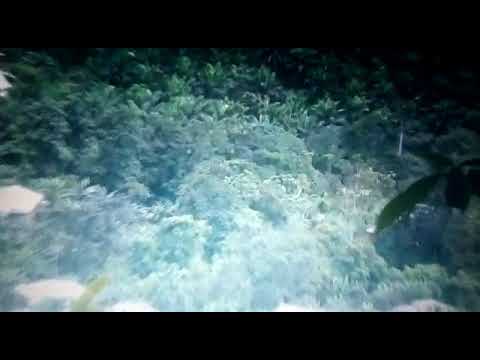 MoRISC TV - Amba Boys Observe LRC Military Movements