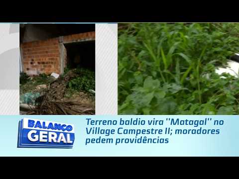 Terreno baldio vira ''Matagal'' no Village Campestre II; moradores pedem providências