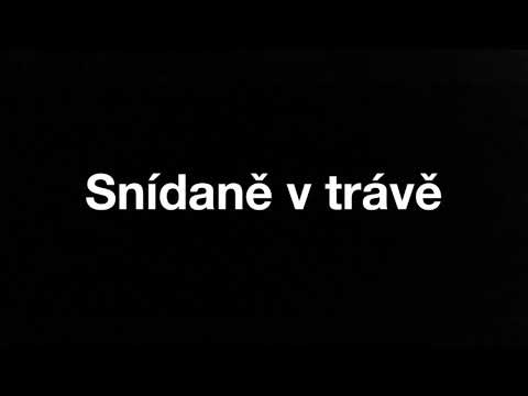 Snídaně v trávě