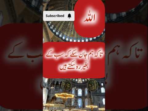 ta ke hm jan saky ke sb ke bager reh sakty hen||| beatiful#quotes #shortvideos #islamicvideos