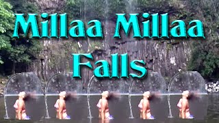 preview picture of video 'Millaa Millaa Falls vom 10.12.2014 [caliundlydi]'