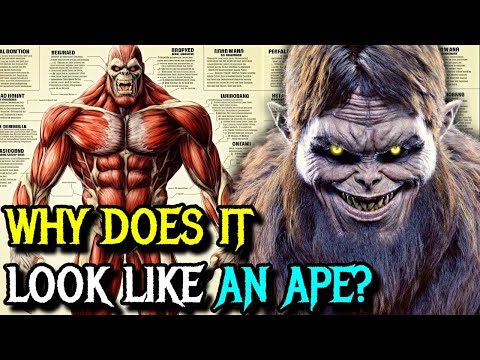 Beast Titan Anatomy - Why Does It Look Like an Ape? How Can it Control Other Titans? - Explored