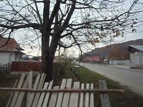 Teren 2400 mp, com M Casin/Lupesti, 10 euro/mp, 0740.612.604