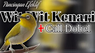 Download lagu MASTERAN PLECI WIT WIT KENARI (call dobel) variasi mp3
